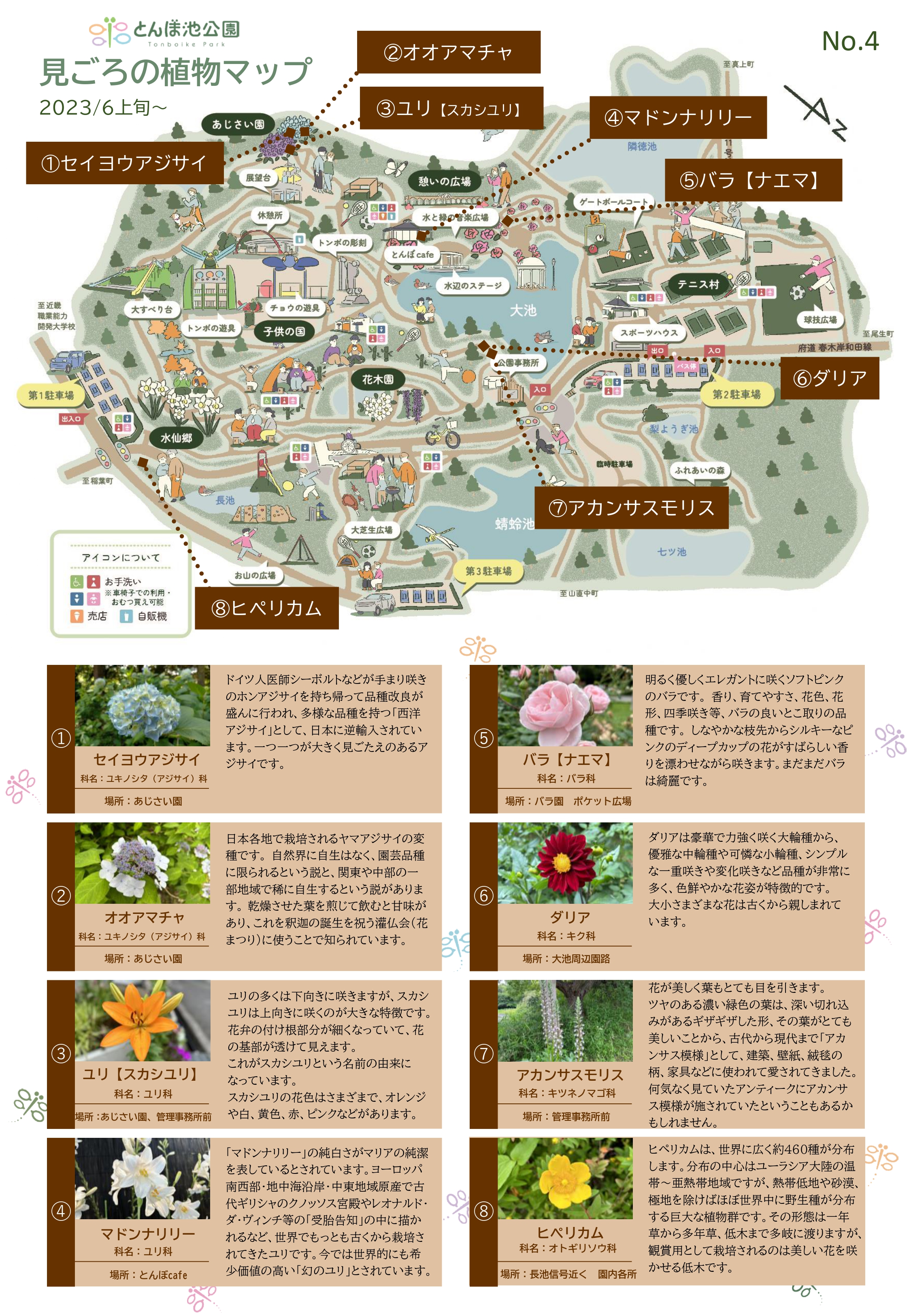 見ごろの植物【6月上旬～】 | 植物情報 | 蜻蛉池公園（とんぼ池公園）