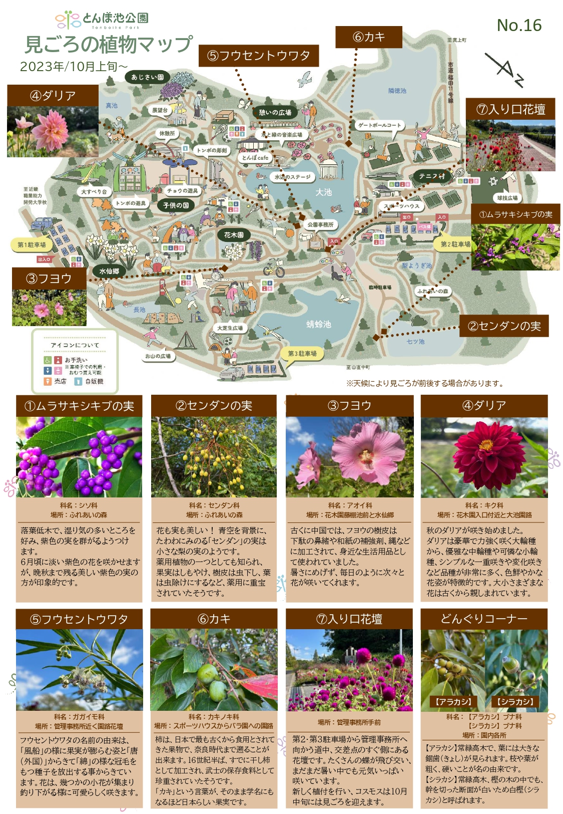 見ごろの植物【10月上旬～】 | 植物情報 | 蜻蛉池公園（とんぼ池公園）