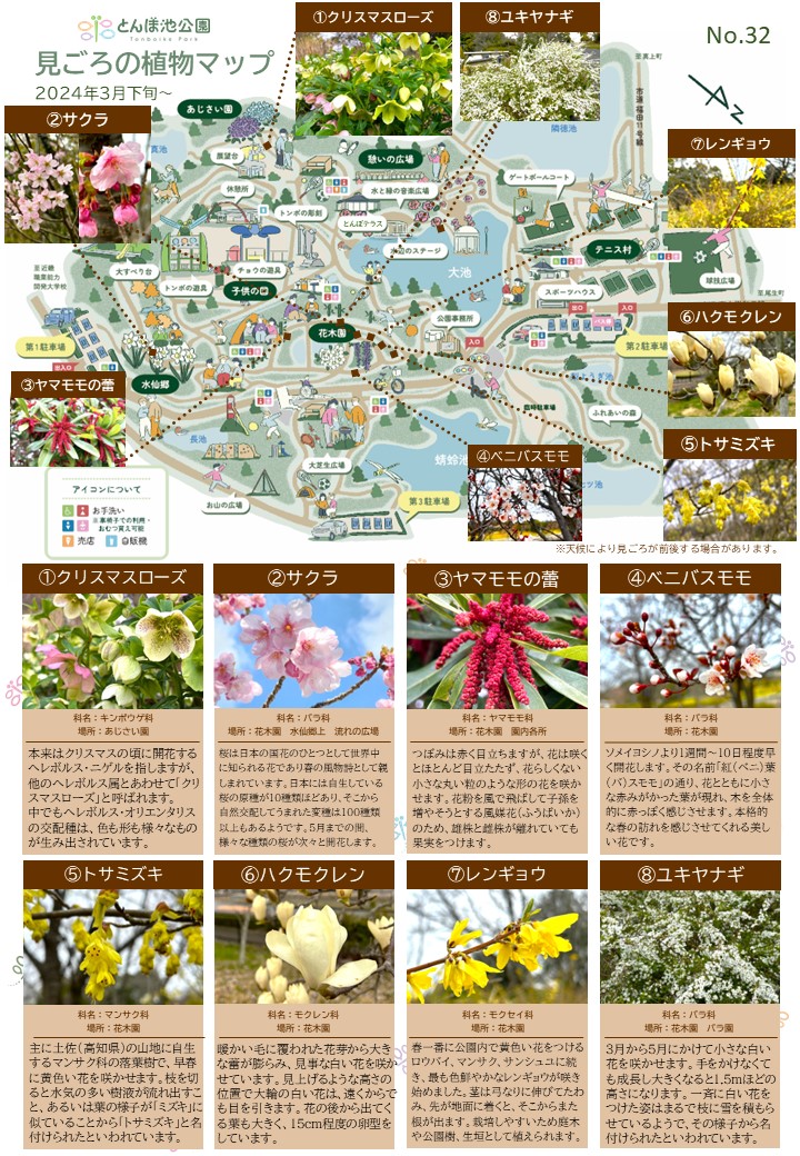 見ごろの植物マップ_2024年3月
