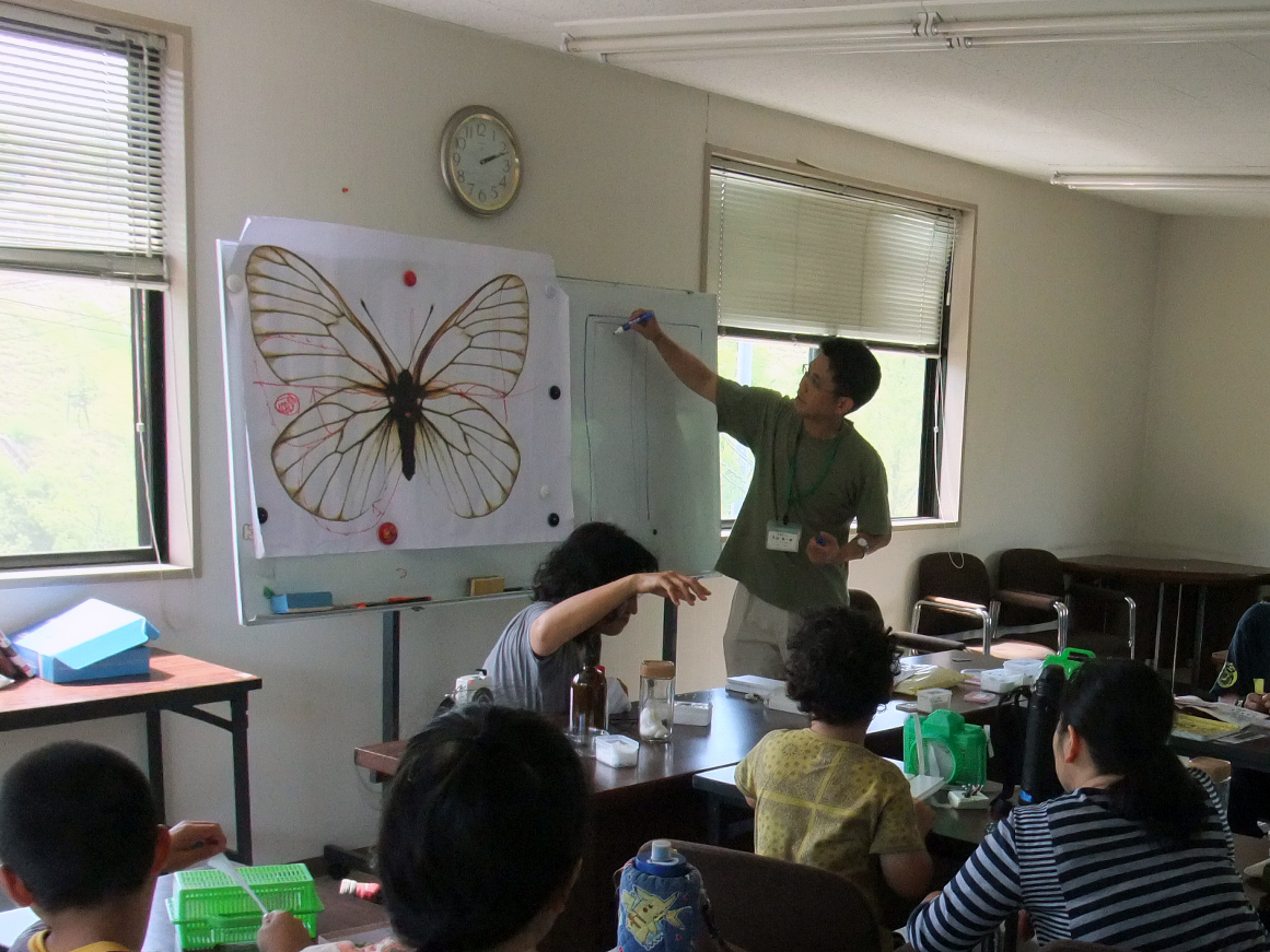 昆虫採集と標本づくり | イベント | 蜻蛉池公園（とんぼ池公園）
