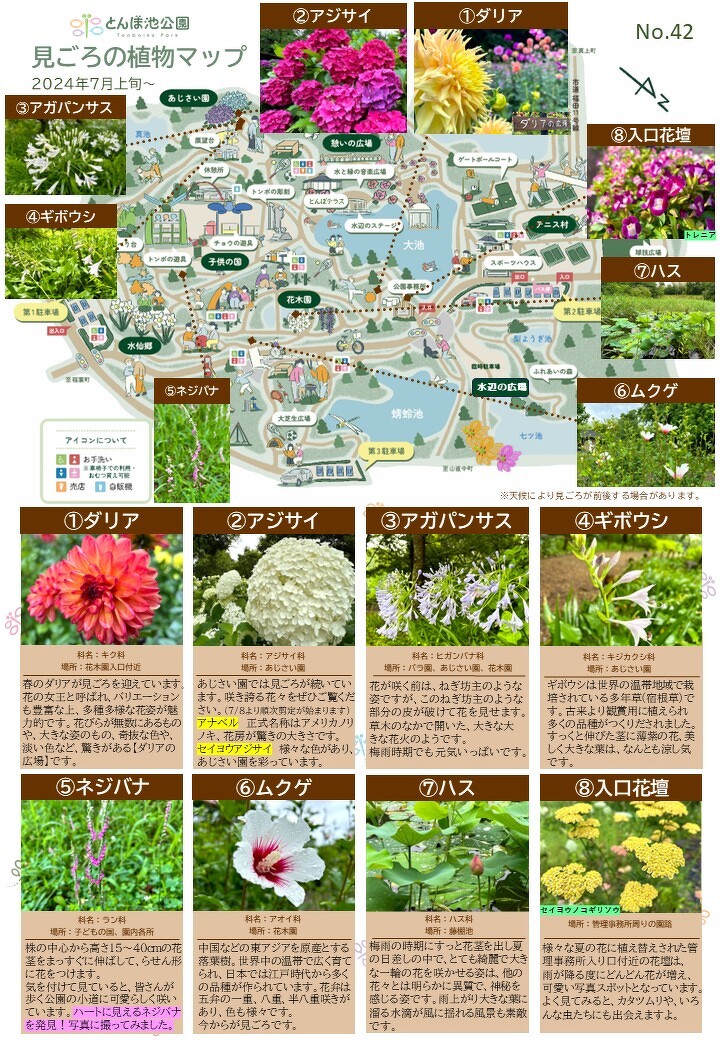 花木魚【35個まとめ】 花木魚【35個まとめ】 花木魚【35個まとめ】 花木魚【35個まとめ】 花木