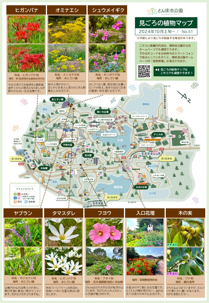 見ごろの植物【10月上旬～】 | 植物情報 | 蜻蛉池公園（とんぼ池公園）