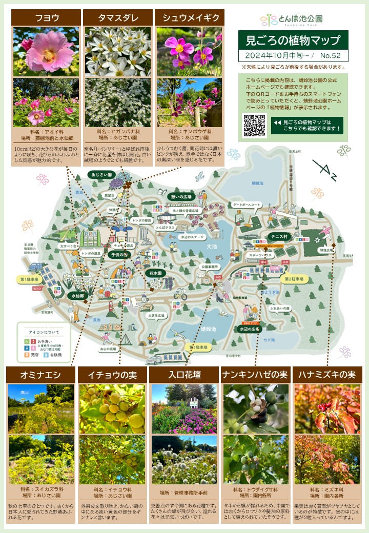 見ごろの植物マップ_2024年10月