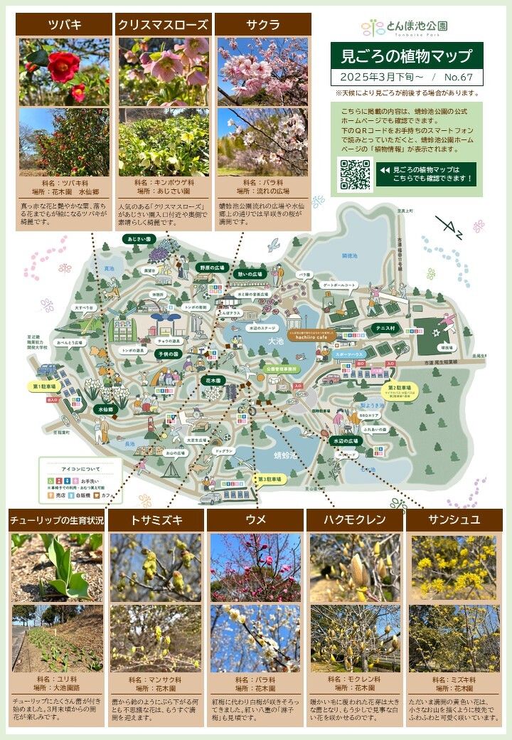 mode3_w720-見ごろの植物マップ