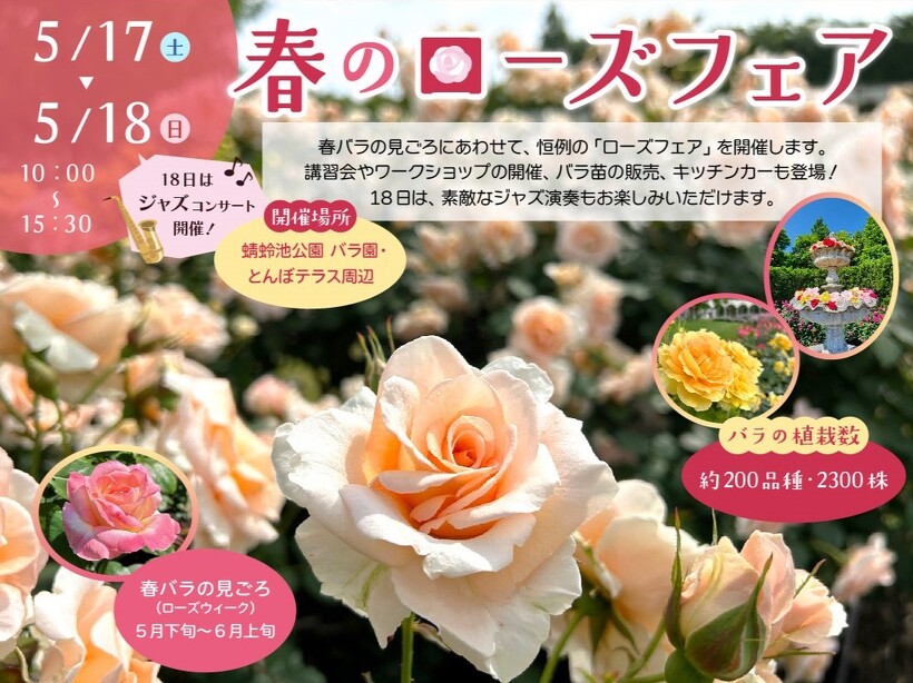 春のローズフェア 5/17（土）、5/18（日） | イベント | 蜻蛉池公園