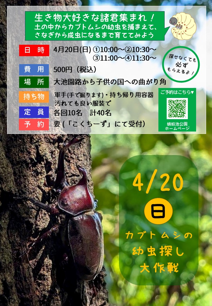 カブトムシの幼虫探し大作戦 4/20（日） | イベント | 蜻蛉池公園