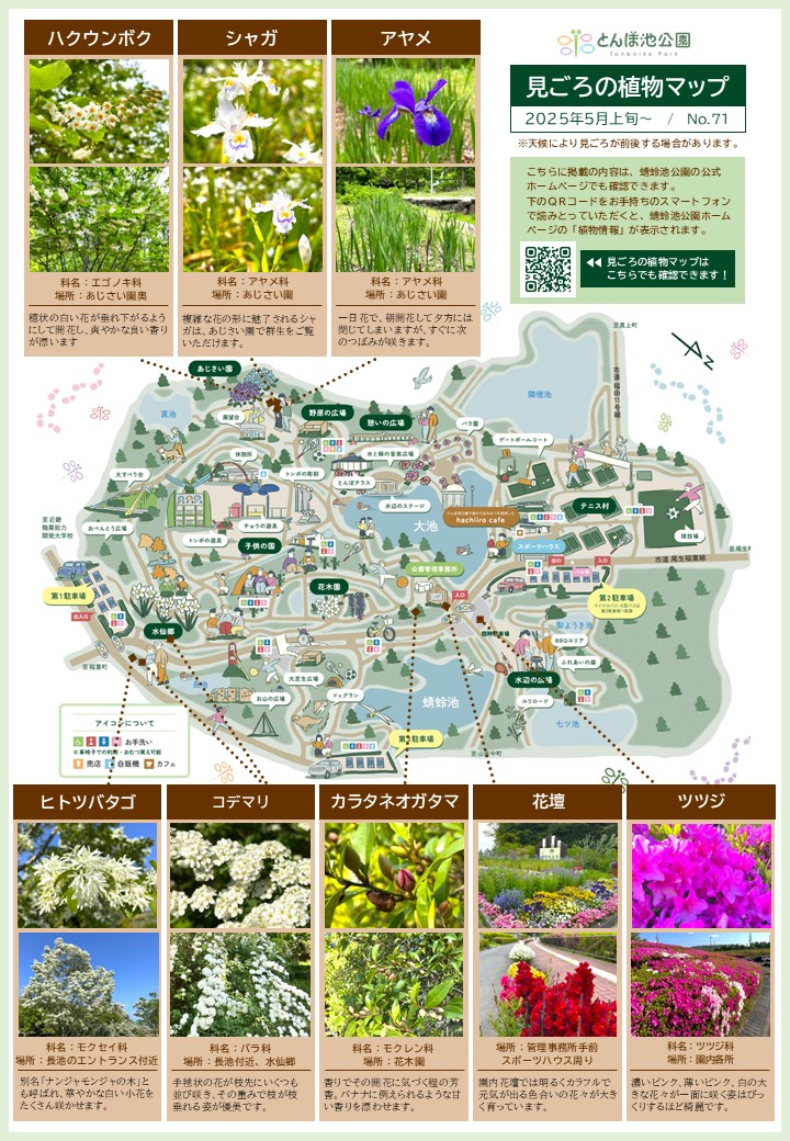 見ごろの植物マップ_2025年5月