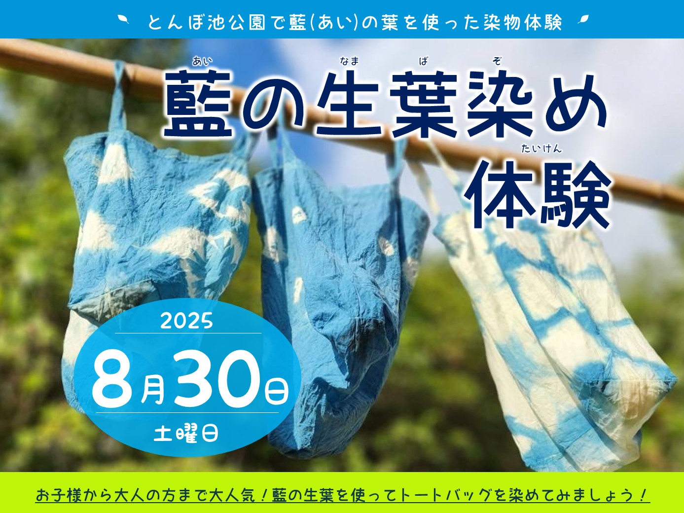 藍の生葉染め体験 8/30（土） | イベント | 蜻蛉池公園（とんぼ池公園）