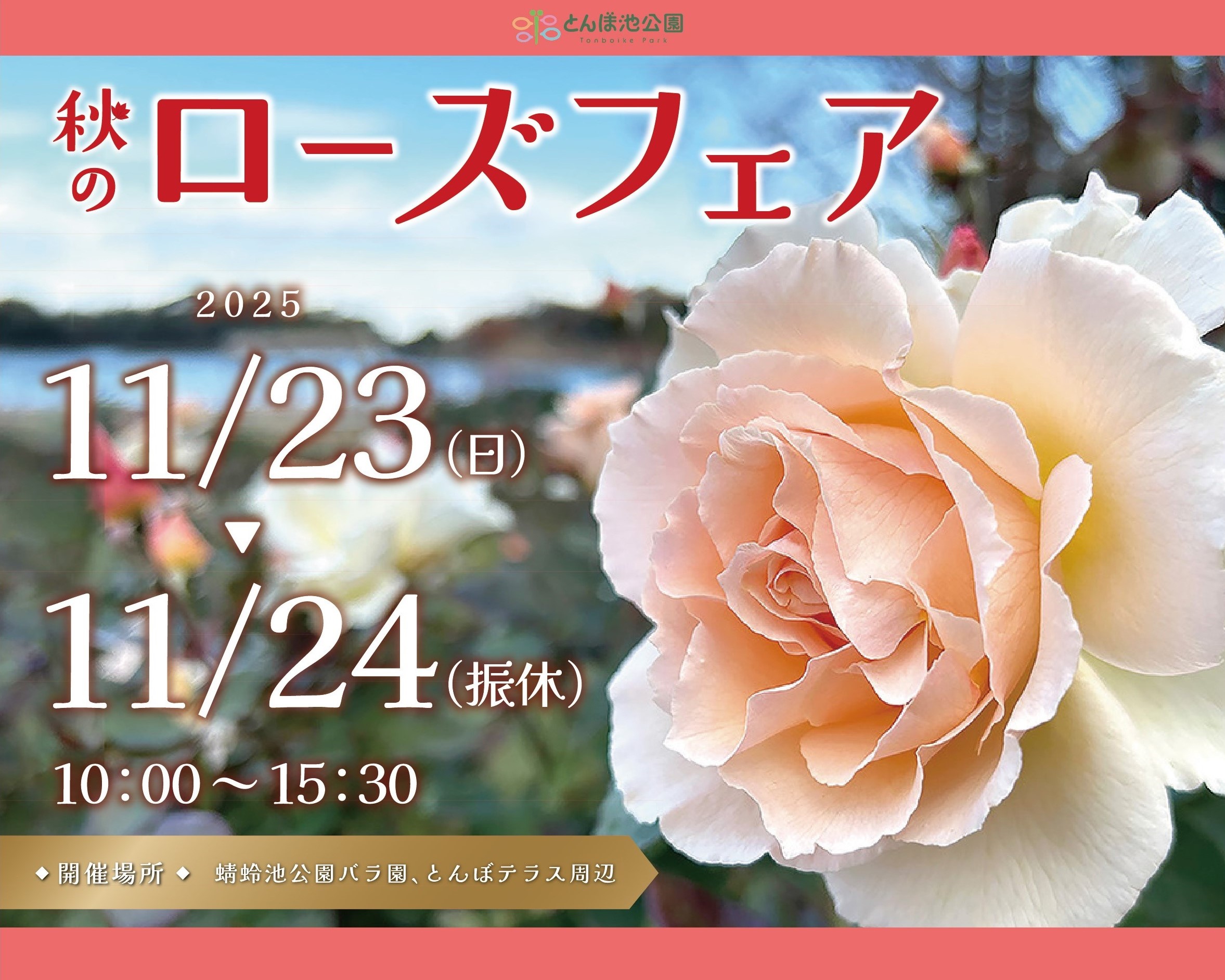 秋のローズフェア 11/23（日）、11/24（振休） | イベント | 蜻蛉池