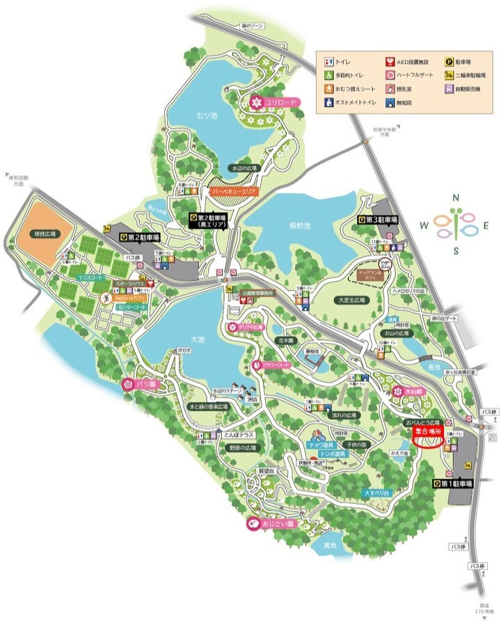 とんぼ池公園にアサギマダラを呼ぼうプロジェクト12/14（日