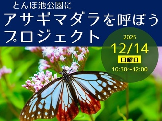 クリスマススワッグづくり 11/23（日）11/24（振休） | イベント