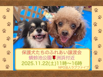 4ページ目 | イベント | 蜻蛉池公園（とんぼ池公園）