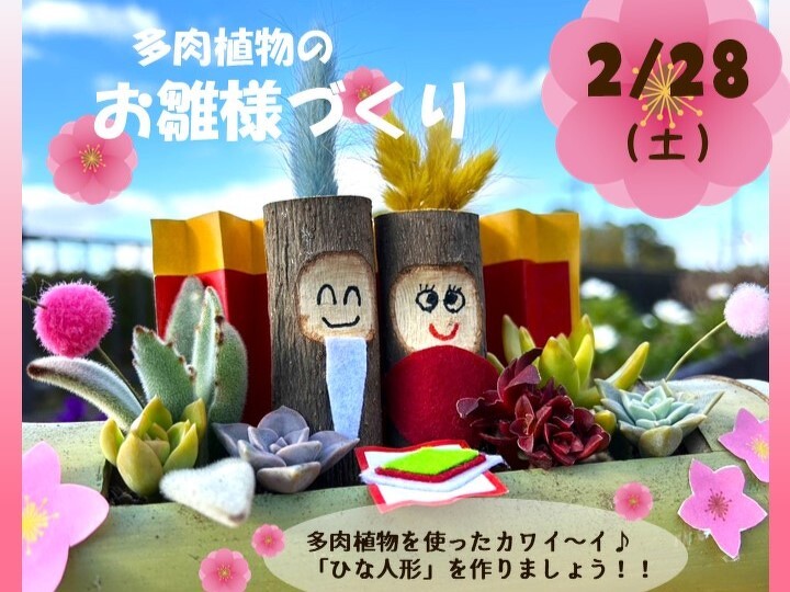 mode3_w720-多肉植物「