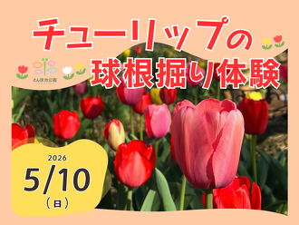 https://tonboike-osakap.com/event/event_event/entry-653.html